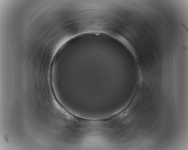 X0000099480958200805161132