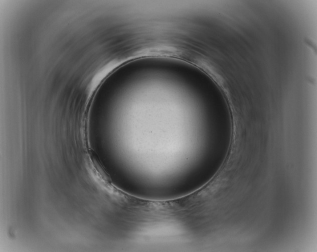 X0000099480960200805161132