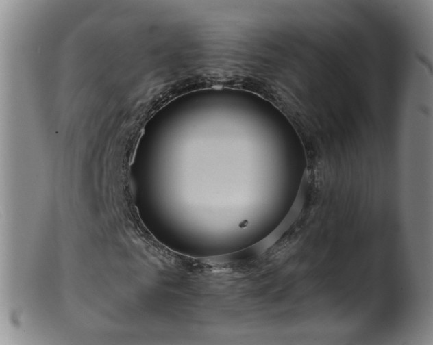 X0000099480961200805161131