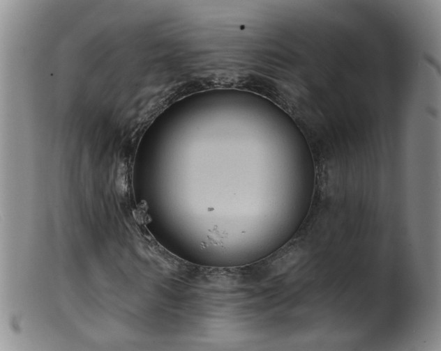 X0000099480962200805161131