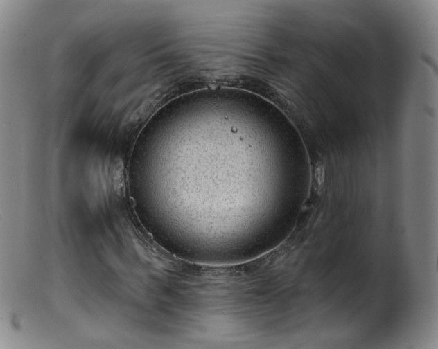 X0000099480963200805161131