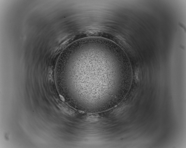X0000099480964200805161131