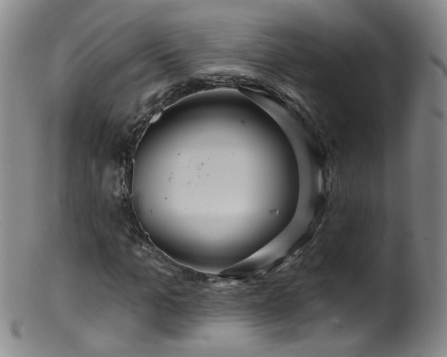 X0000099480965200805161131