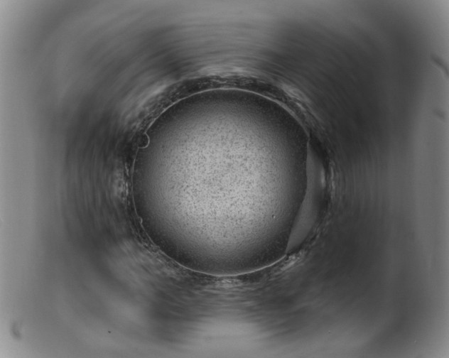 X0000099480966200805161131