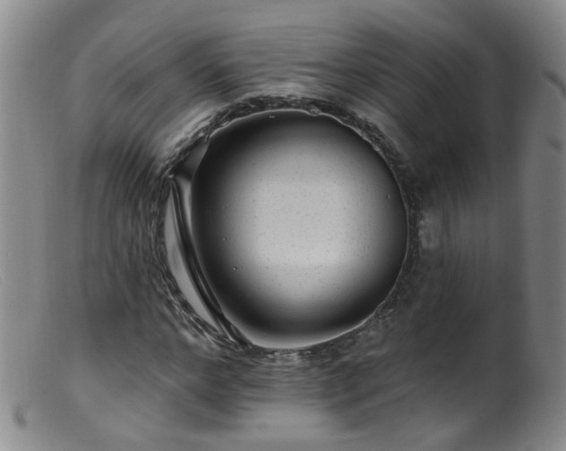 X0000099480968200805161131
