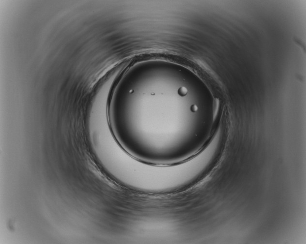 X0000099480969200805161131