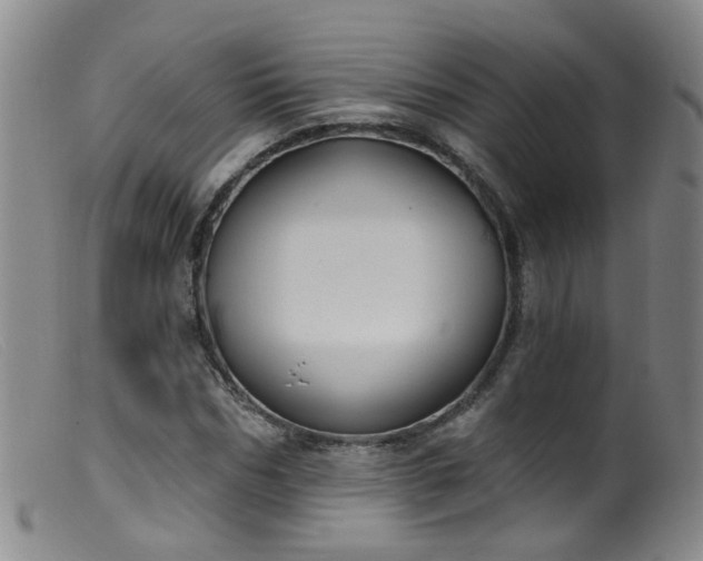 X0000099480970200805161131