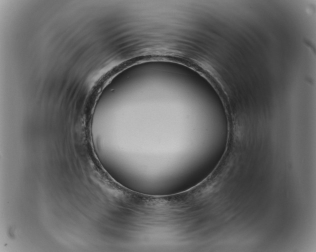 X0000099480971200805161131
