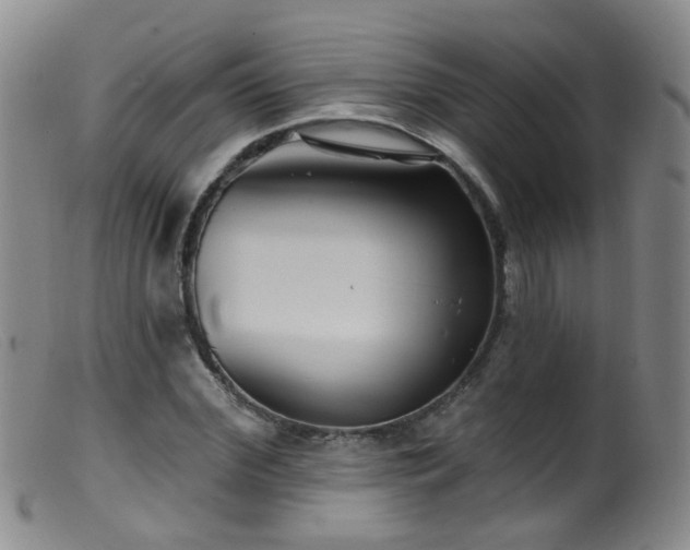 X0000099480972200805161131
