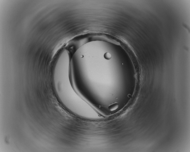 X0000099480973200805161131
