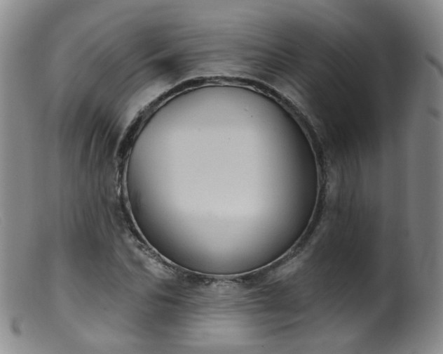 X0000099480974200805161131