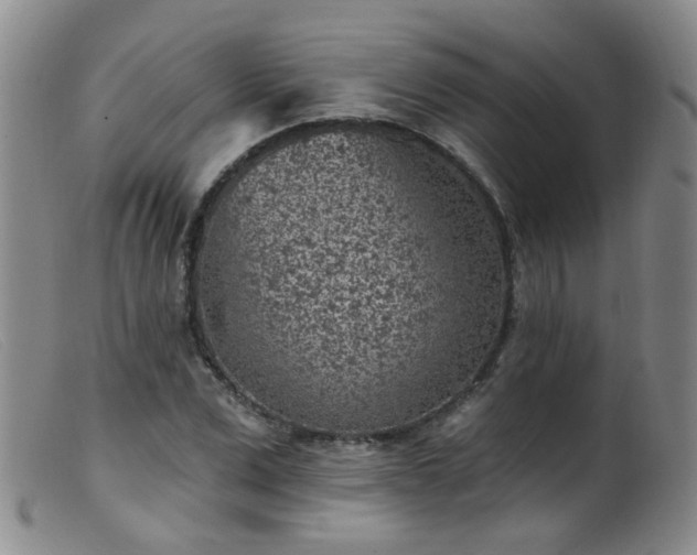 X0000099480975200805161131