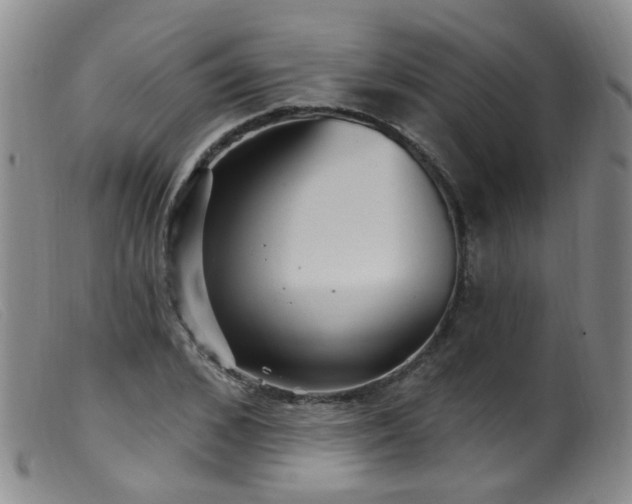 X0000099480976200805161131
