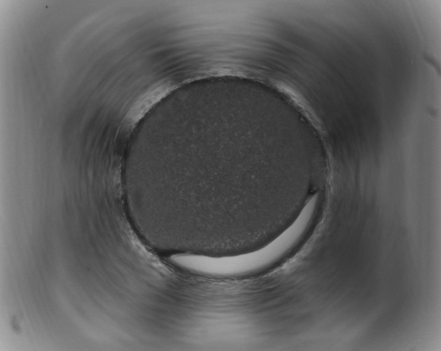 X0000099480977200805161131