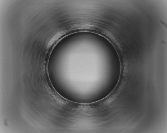 X0000099480978200805161131