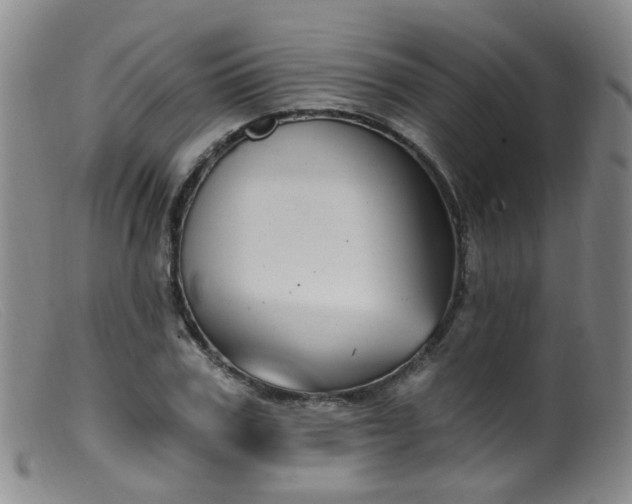X0000099480979200805161131