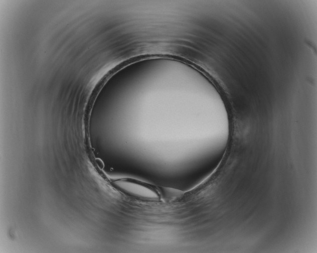 X0000099480980200805161131