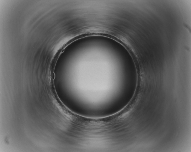 X0000099480981200805161131