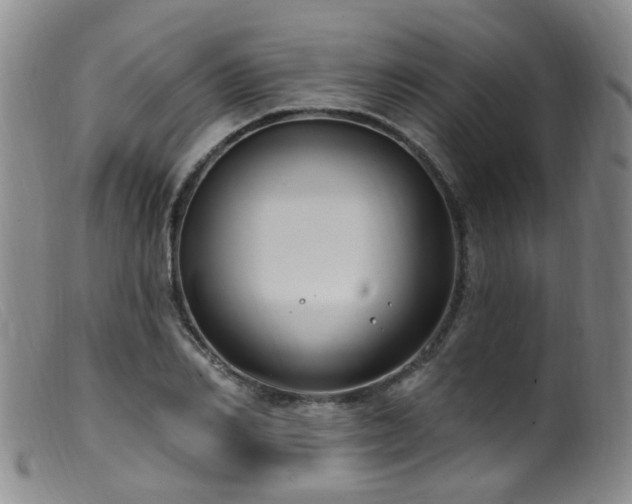 X0000099480982200805161131