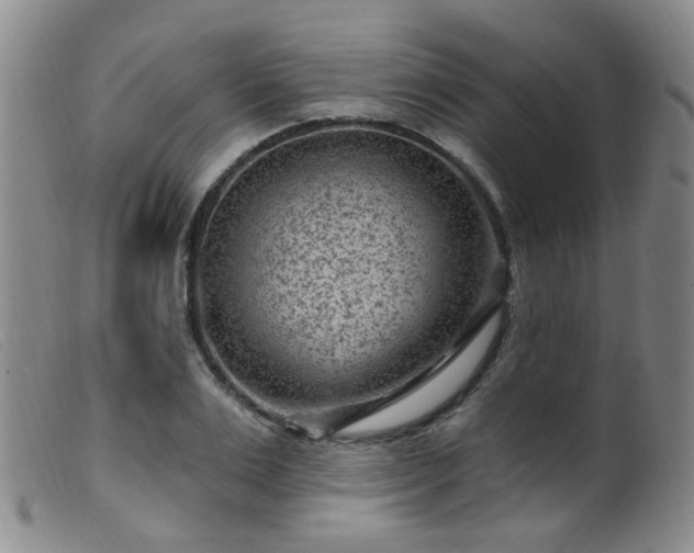 X0000099480983200805161131