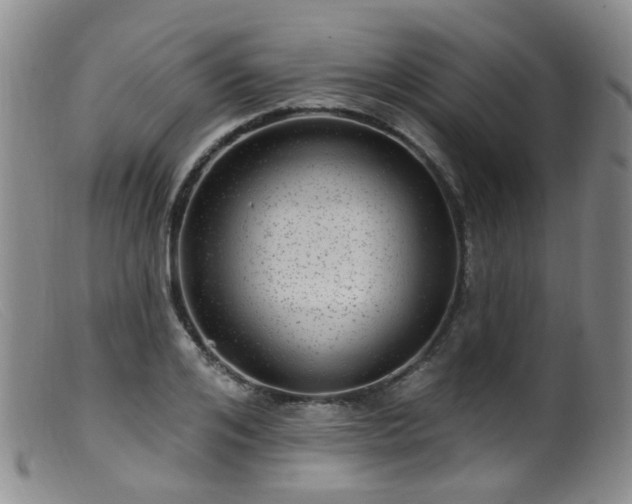 X0000099480984200805161131