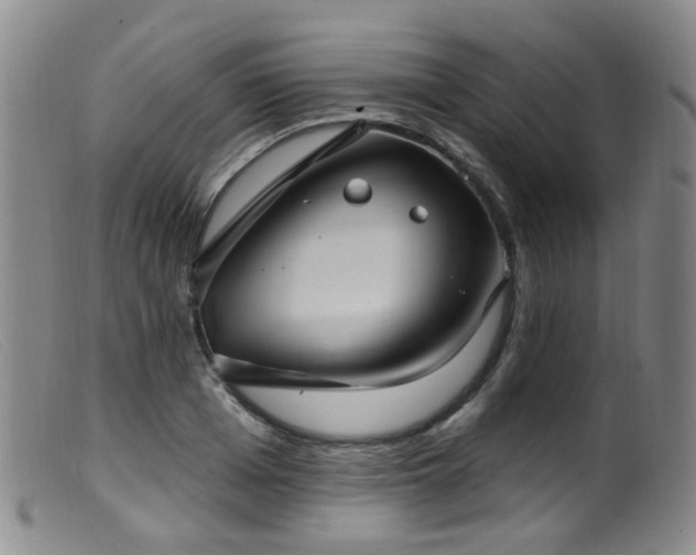X0000099480985200805161131