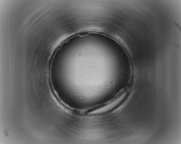 X0000099480989200805161130