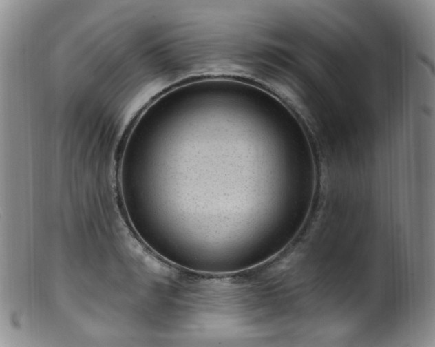 X0000099480990200805161130