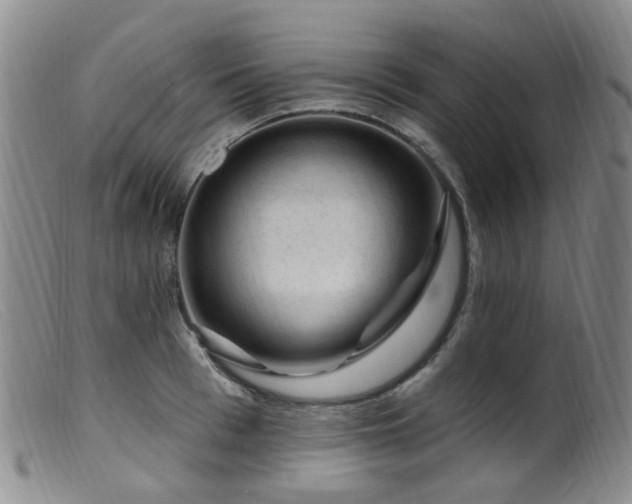 X0000099480993200805161130