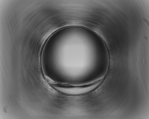 X0000099480996200805161130