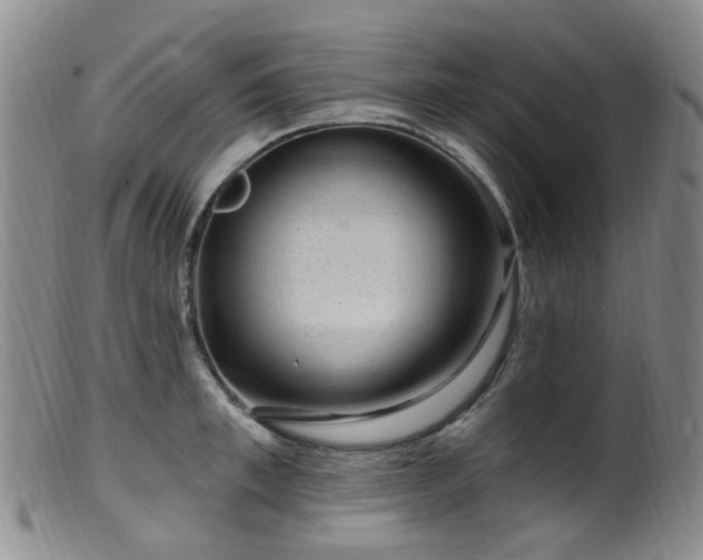 X0000099480997200805161130