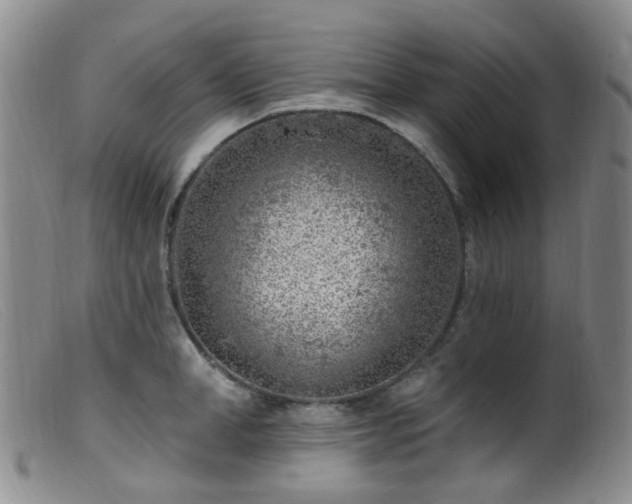 X0000099480998200805161130