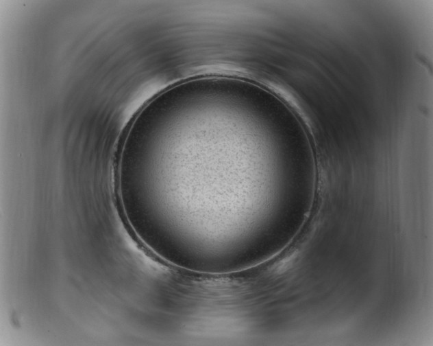 X0000099480999200805161130
