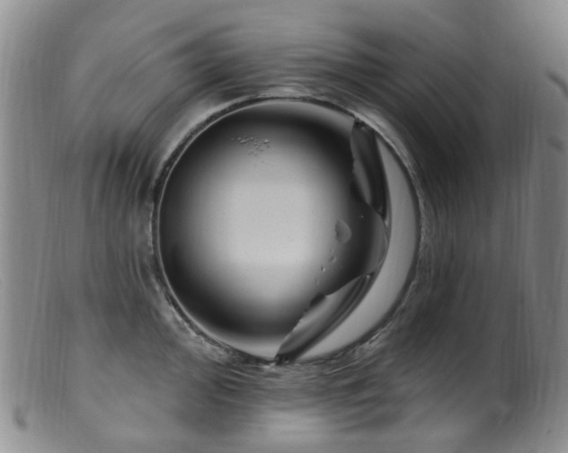 X0000099481000200805161130