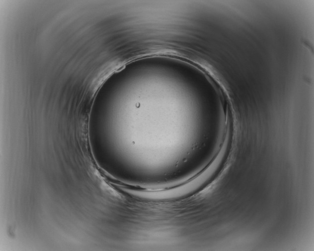 X0000099481001200805161130