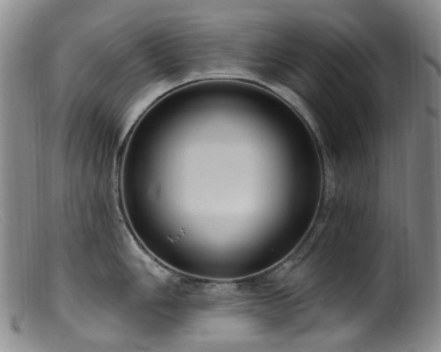 X0000099481006200805161130