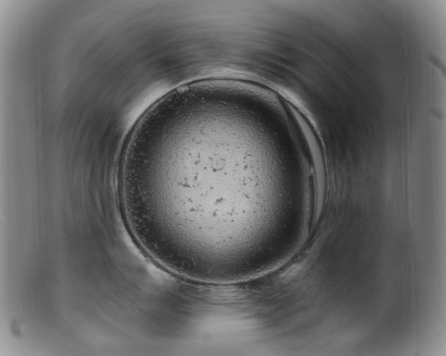 X0000099481007200805161130
