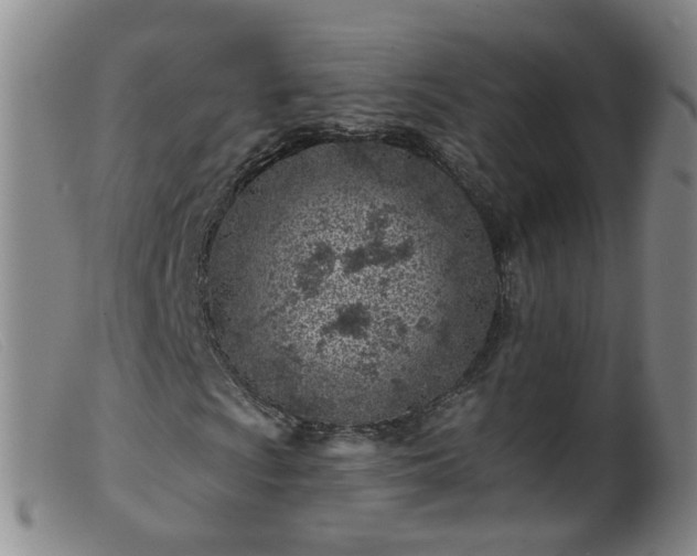 X0000099481009200805161129
