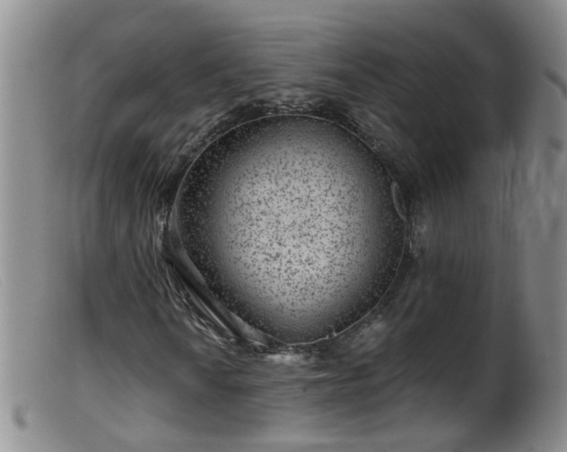 X0000099481010200805161130