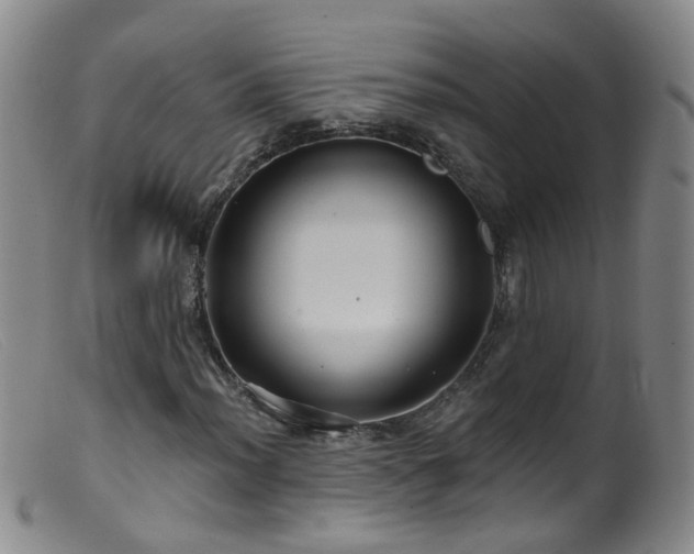 X0000099481012200805161130