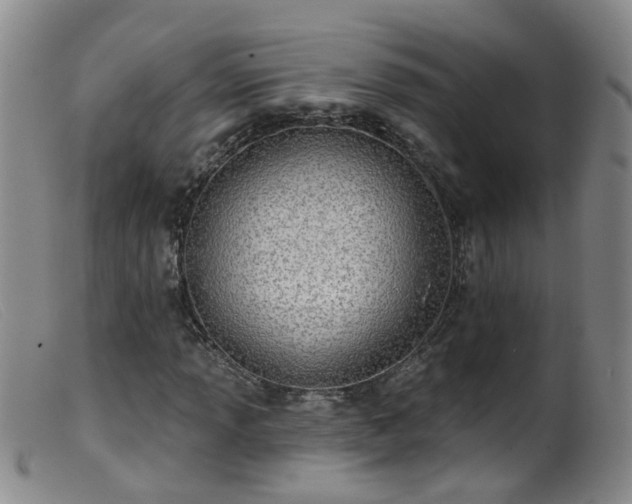 X0000099481013200805161130