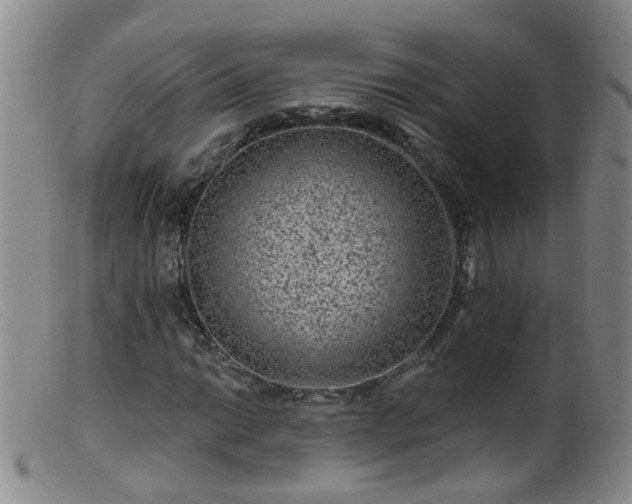X0000099481014200805161130