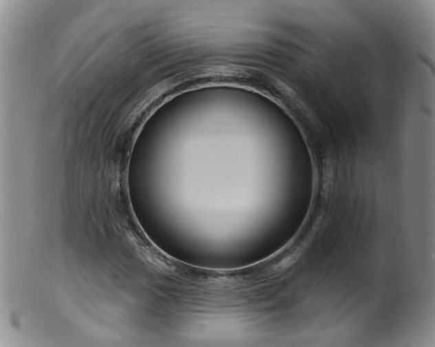 X0000099481017200805161130