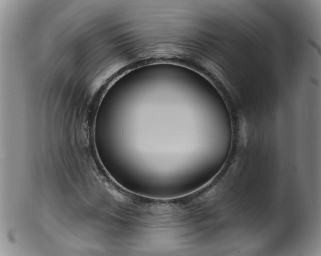 X0000099481018200805161130