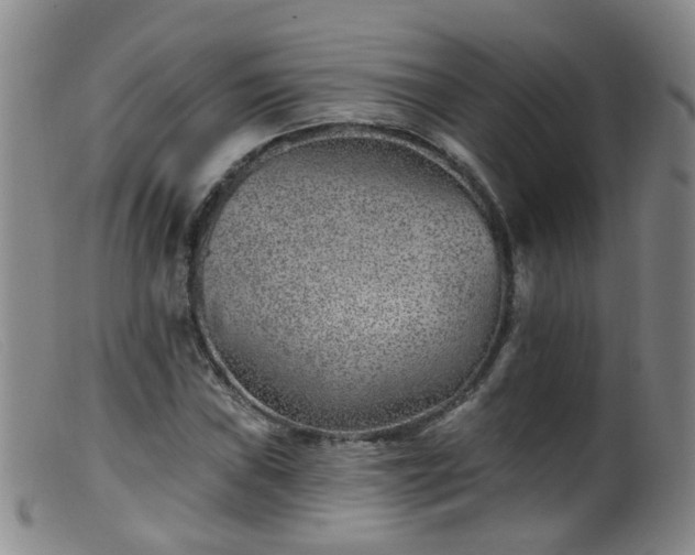 X0000099481019200805161130