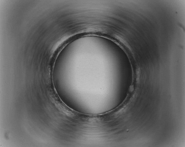 X0000099481021200805161130