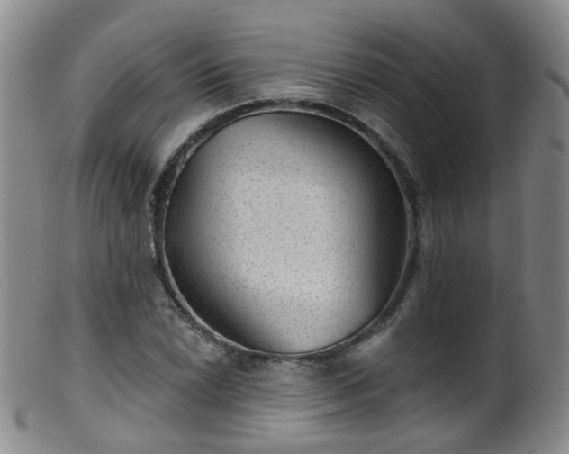 X0000099481022200805161130