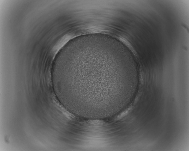 X0000099481023200805161130