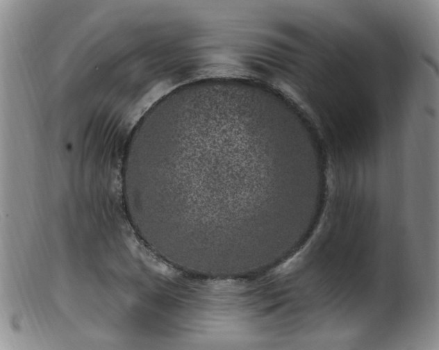 X0000099481025200805161130