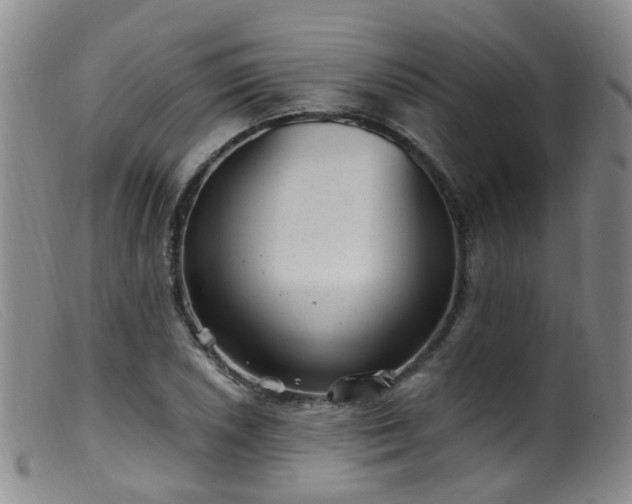X0000099481026200805161130